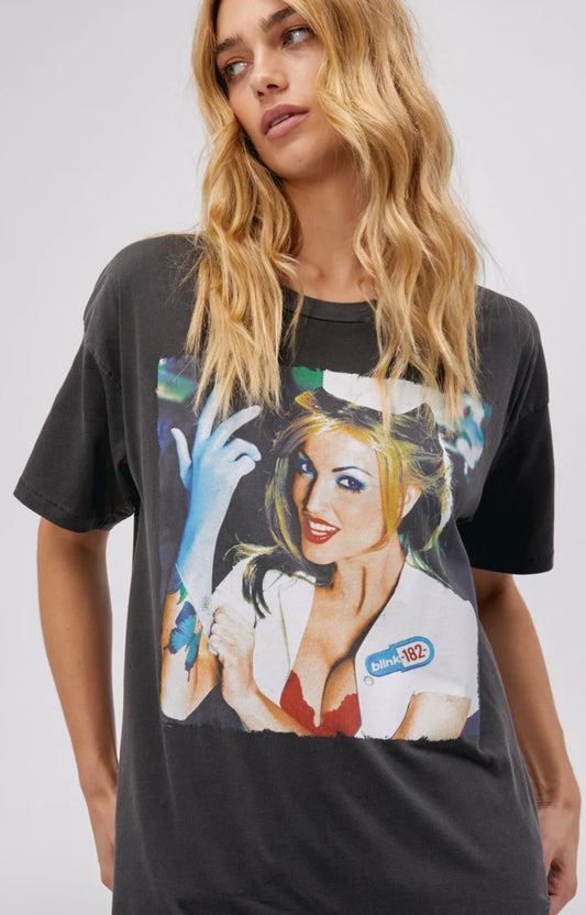 Blink 182 Enema of the state